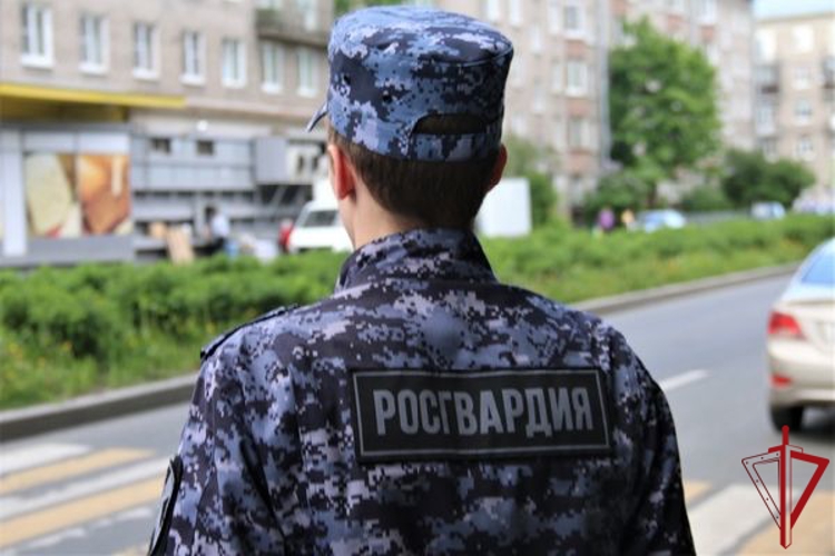 В Красногвардейском районе Петербурга росгвардейцы задержали хулигана, совершившего поджог двери квартиры в жилом доме