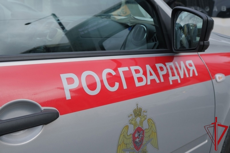 Наряд Росгвардии задержал граждан, нанесших побои работнику магазина в Ленинградской области