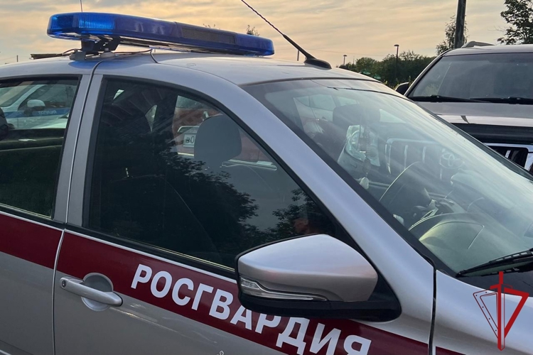 Во Фрунзенском районе наряд Росгвардии задержал хулигана, размахивавшего мачете во дворе
