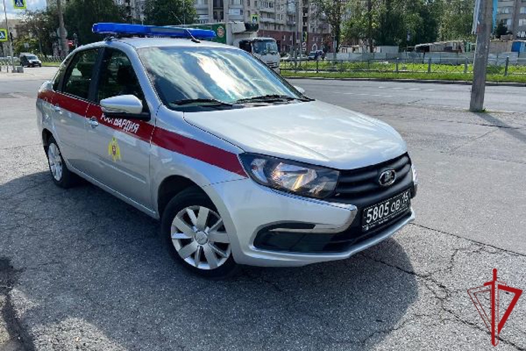 Петербургские росгвардейцы задержали шестерых вандалов, рисовавших краской на стенах зданий в трех районах города