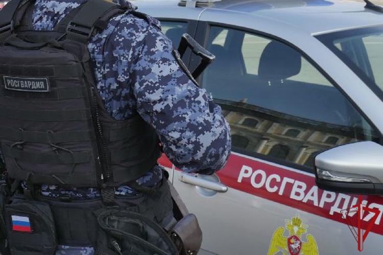 В Адмиралтейском районе наряд Росгвардии задержал рецидивиста, избившего мужчину в центре города 
