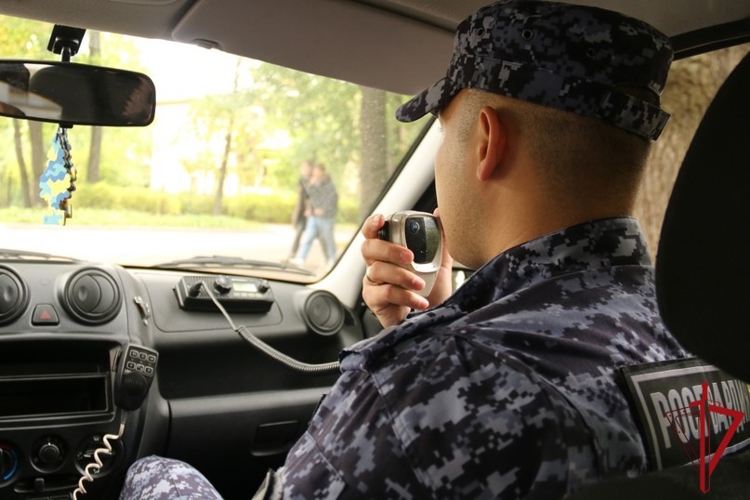 Петербургские росгвардейцы задержали гражданина, разыскиваемого за преступление, совершенное в Южном федеральном округе РФ