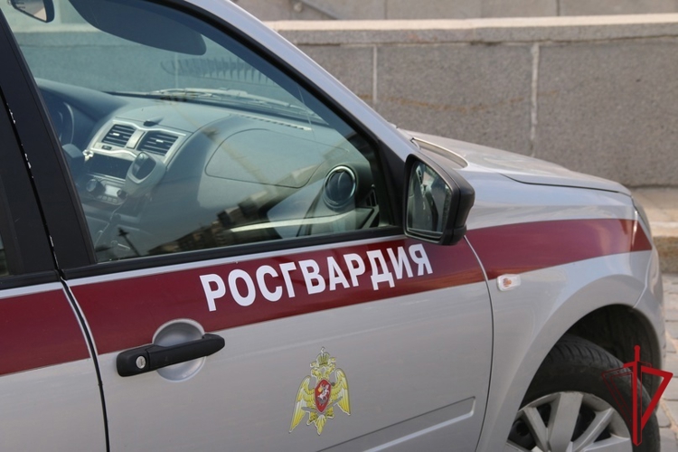 В центре Петербурга наряд Росгвардии задержал правонарушителя, который ранил ножом прохожего, заступившегося за девушку