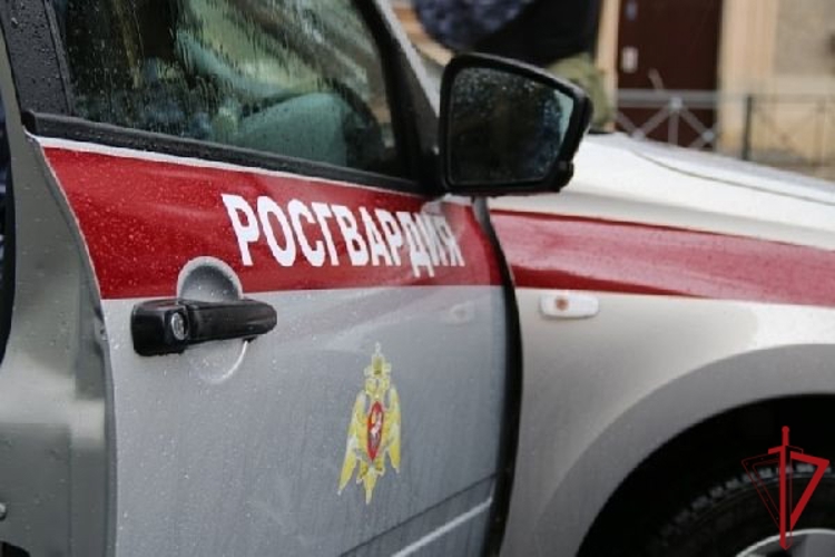 В Выборге сотрудники Росгвардии задержали рецидивиста, избившего и ограбившего мужчину