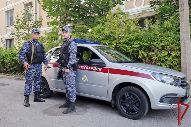 В Павловске наряд Росгвардии вывел из леса изможденную пенсионерку, заблудившуюся во время похода за грибами