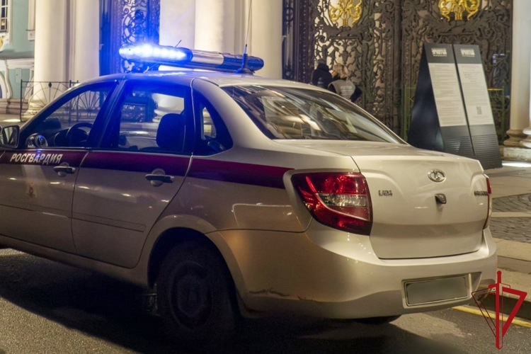 Cотрудники Росгвардии задержали хулигана, в ночь на воскресенье пытавшегося проникнуть на территорию Эрмитажа