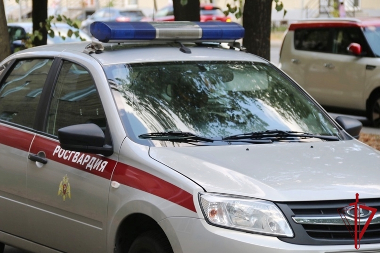 Во Фрунзенском районе наряд Росгвардии задержал участника конфликта, возникшего во время выгула собак