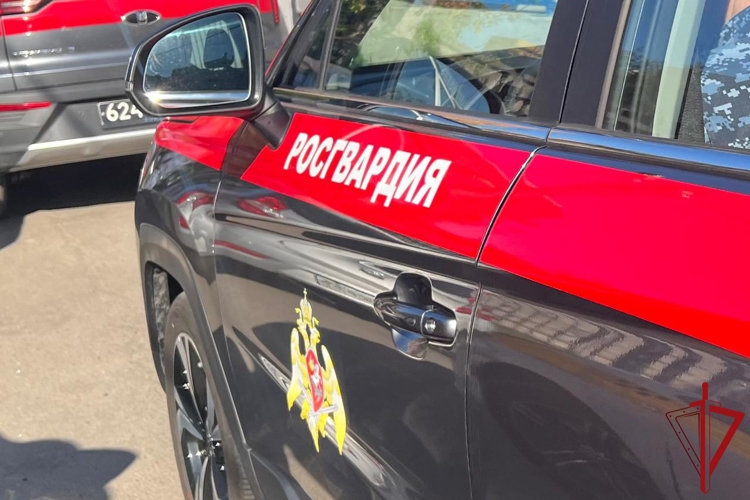 В Петроградском районе наряд Росгвардии задержал хулиганов, проникших в закрытый на ночь бар