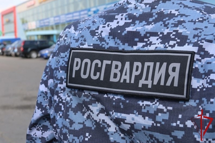 В Центральном районе сотрудники Росгвардии задержали правонарушительницу, разыскиваемую за совершение нескольких преступлений