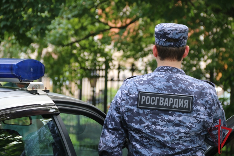 Во Фрунзенском районе наряд вневедомственной охраны задержал грабителя, ночью напавшего на прохожего
