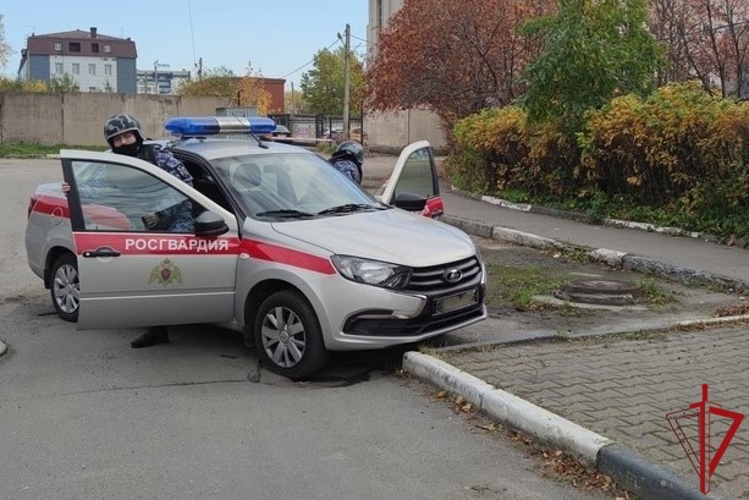 В Красногвардейском районе сотрудники Росгвардии задержали двух рецидивистов, избивших таксиста