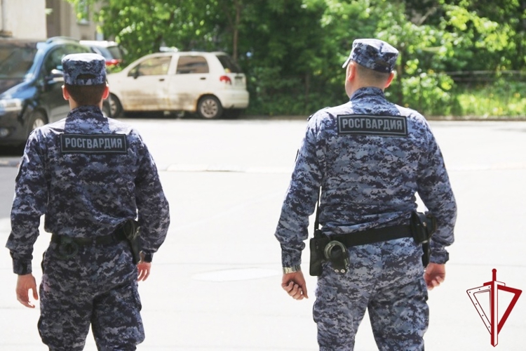 В Центральном районе сотрудники Росгвардии задержали хулигана, повредившего две иномарки