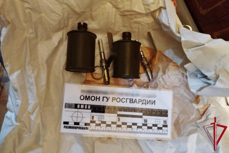 В Гатчине сотрудники ОМОН Росгвардии обследовали боеприпасы, обнаруженные при ремонте квартиры