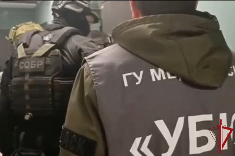 Cотрудники СОБР "Гранит" Росгвардии оказали содействие полиции в задержании группы киберпреступников