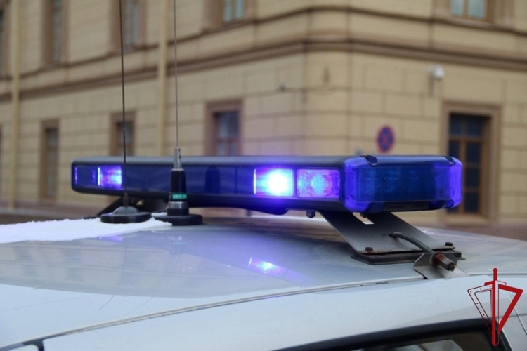 В Московском районе наряд вневедомственной охраны задержал нетрезвую женщину, повредившую припаркованный автомобиль