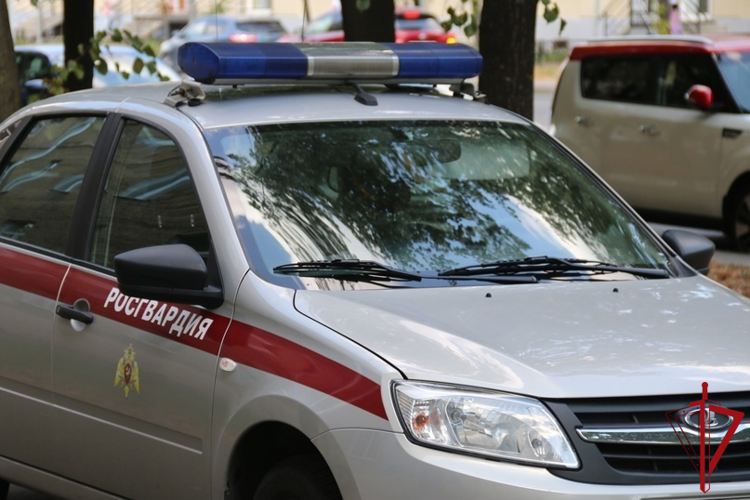 В Красногвардейском районе наряд Росгвардии задержал злоумышленника, избившего несовершеннолетнего