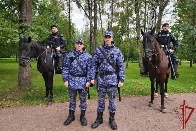 Подразделения Росгвардии обеспечили правопорядок при проведении футбольного матча Российской Премьер-Лиги
