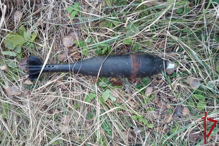 Взрывотехники ОМОН Росгвардии обследовали подозрительный предмет, обнаруженный в Лужском районе Ленобласти