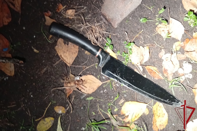 В Выборгском районе росгвардейцы задержали правонарушителя, нанесшего ножевое ранение мужчине во время конфликта в коммунальной квартире