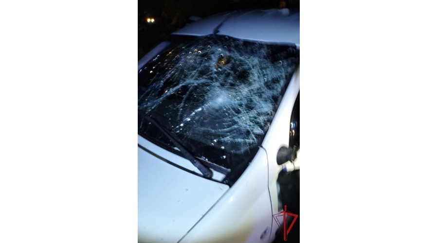 В Курортном районе росгвардейцы задержали хулигана, повредившего автомобиль