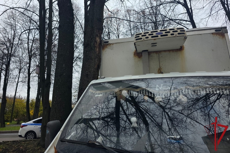 В Колпинском районе наряд Росгвардии задержал правонарушителя, врезавшегося в дерево на угнанном автомобиле