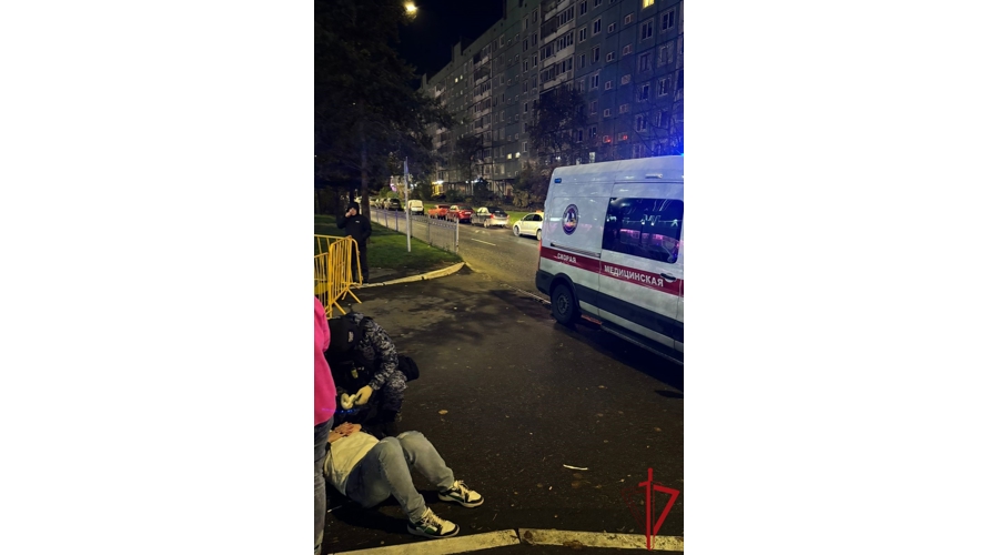 Наряд Росгвардии задержал гражданку, нанесшую серьезную травму головы прохожему в Выборгском районе