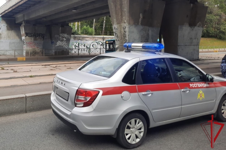 Петербургские росгвардейцы передали медикам гражданина, мешавшего проезду трамваев на проспекте Испытателей