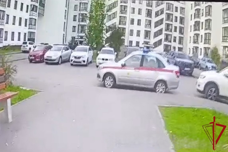 В Петергофе наряд Росгвардии задержал злоумышленника, нанесшего ножевое ранение посетителю круглосуточного магазина