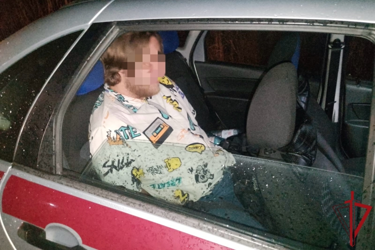 В Ломоносове сотрудники Росгвардии задержали гражданина, пытавшегося поджечь тепловоз