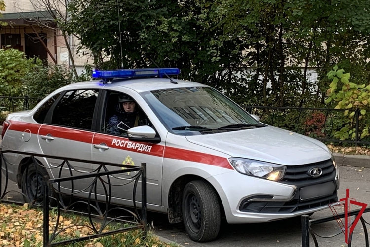 В Центральном районе росгвардейцы задержали гражданина, нанесшего ножевое ранение женщине