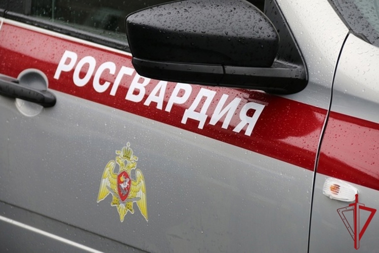 Сотрудники Росгвардии на территории Эрмитажа задержали курьера, пытавшегося скрыться от наряда ДПС