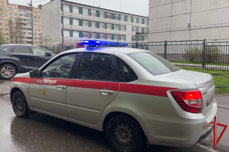 Наряд Росгвардии задержал подозреваемого в применении физического насилия в отношении двух школьников
