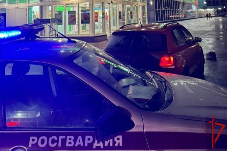 В Красногвардейском районе наряд Росгвардии задержал вооруженного ножом рецидивиста, угрожавшего контролеру магазина
