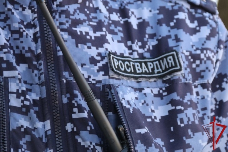 Во Фрунзенском районе наряд Росгвардии с поличным задержал правонарушителей, укравших товары из магазина электронных сигарет