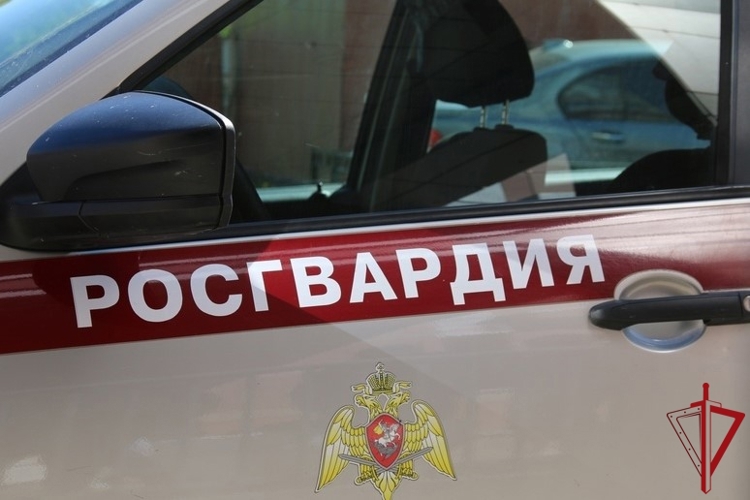 В Московском районе росгвардейцы задержали двух правонарушителей, прыгавших на капоте автомобиля и нанесших побои мужчине