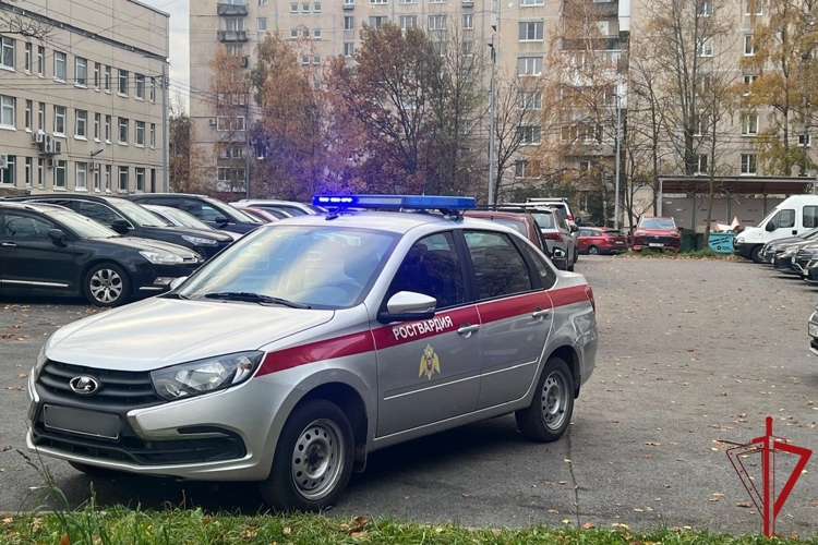 В Кировском районе росгвардейцы задержали вора-рецидивиста, похитившего кошелек из припаркованного автомобиля доставщика маркетплейса