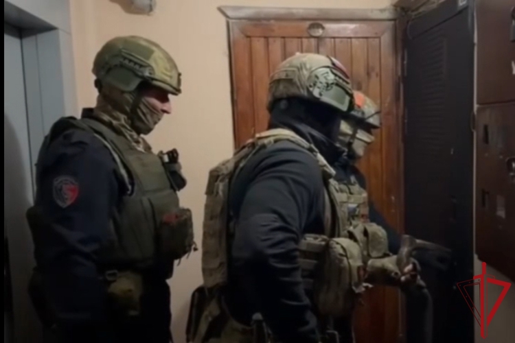 При силовой поддержке ОМОН и СОБР ГУ Росгвардии задержаны сотрудники жилищного агентства, похищавшие бюджетные деньги