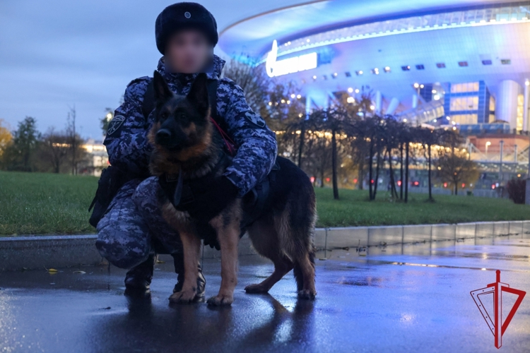 Cотрудники и военнослужащие Росгвардии приняли участие в обеспечении правопорядка во время футбольного матча РПЛ 