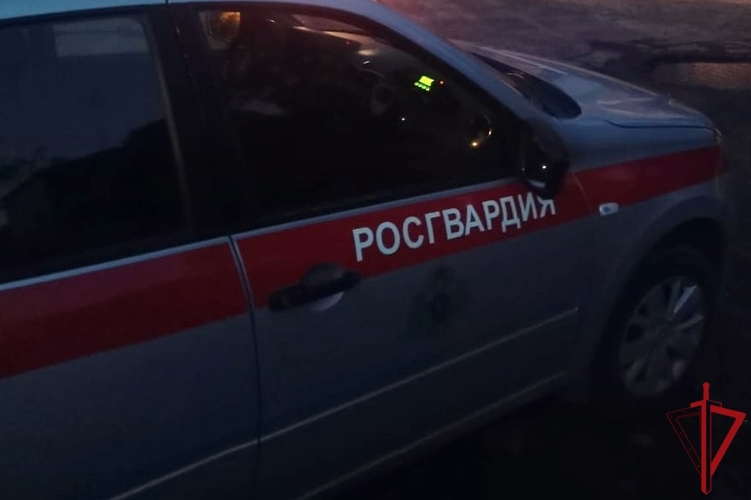 В Гатчинском районе сотрудники Росгвардии с поличным задержали правонарушителей, проникших с целью кражи в магазин