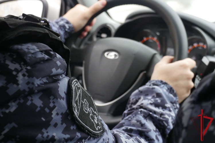 В Московском районе сотрудники Росгвардии по горячим следам задержали двух грабителей