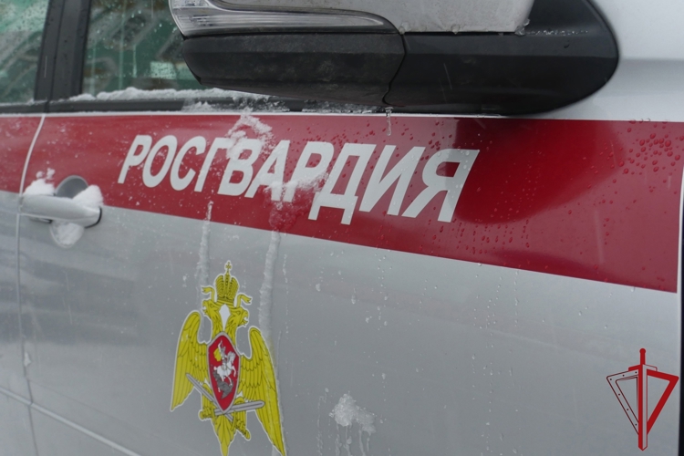 В Центральном районе наряд Росгвардии задержал хулигана, угрожавшего убийством подростку