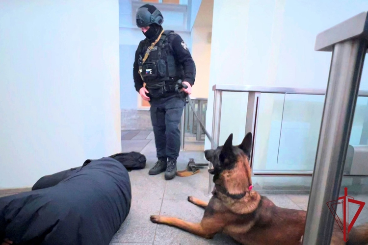 В Петербурге сотрудники Росгвардии провели занятия по нейтрализации вооруженных преступников и освобождению заложника в Главном Штабе Государственного Эрмитажа