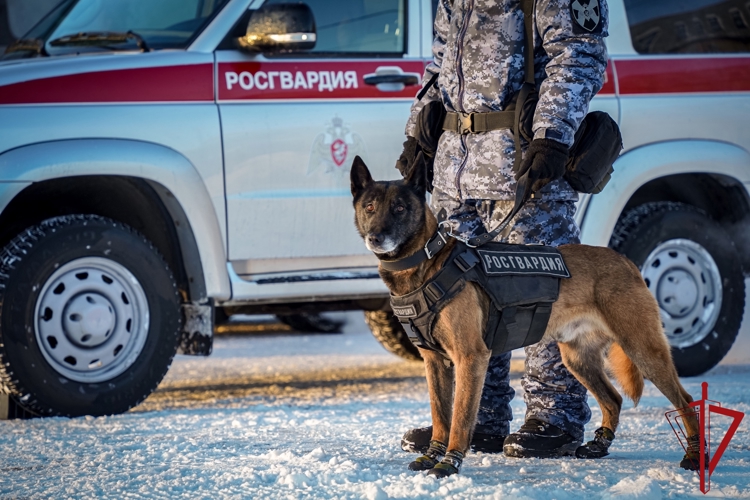 В Санкт-Петербурге сотрудники и военнослужащие Росгвардии обеспечили правопорядок при проведении матча КХЛ