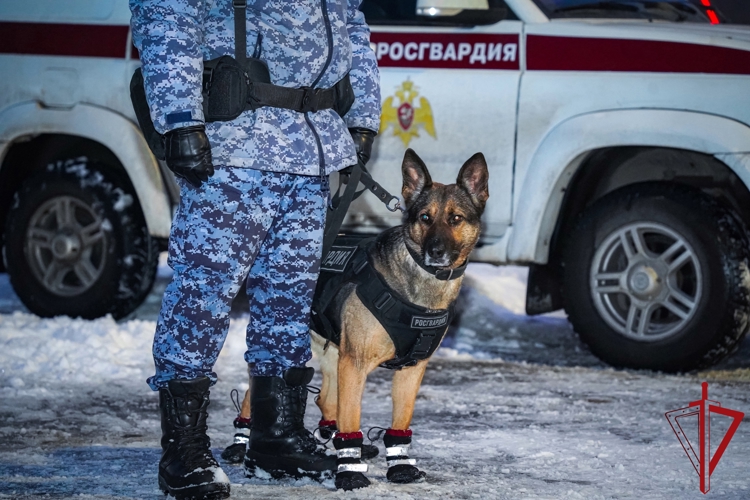 Сотрудники и военнослужащие Росгвардии обеспечили общественный порядок при проведении матча КХЛ