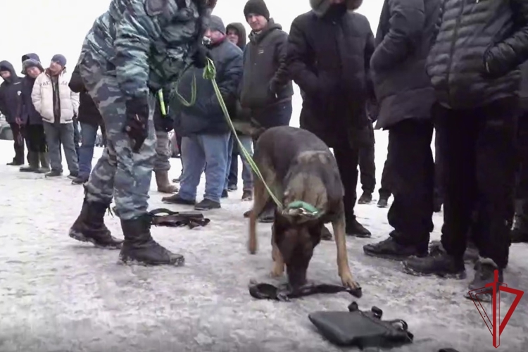 В Санкт-Петербурге сотрудники ОМОН Росгвардии оказали содействие полиции в проведении профилактического рейда