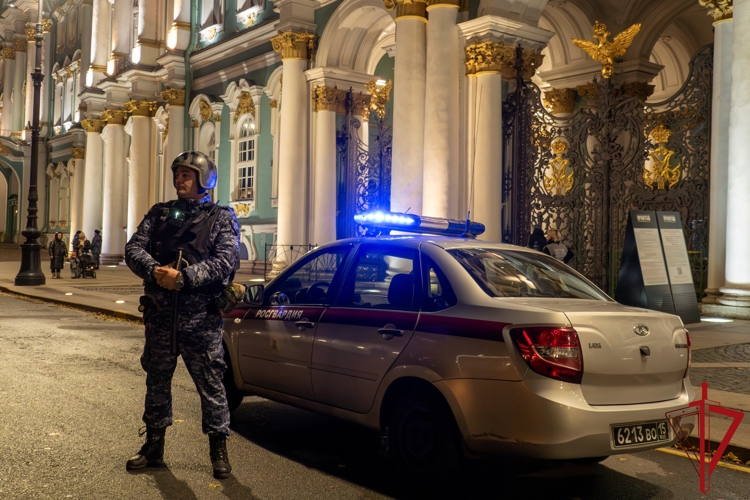 Сотрудники Росгвардии задержали посетителя Эрмитажа, нанесшего повреждения мраморной скульптуре