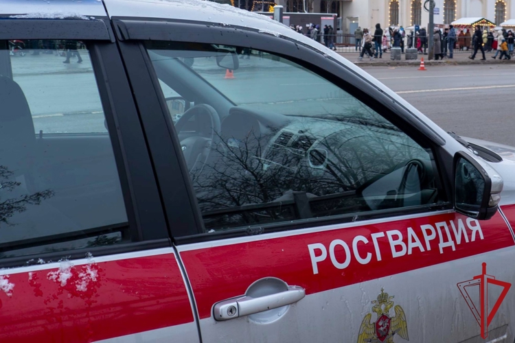 Петербургские росгвардейцы передали спасателям мужчину, упавшего с моста у Петропавловской крепости