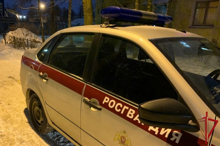 В Центральном районе росгвардейцы задержали правонарушителя, пытавшегося проникнуть в запертый припаркованный автомобиль