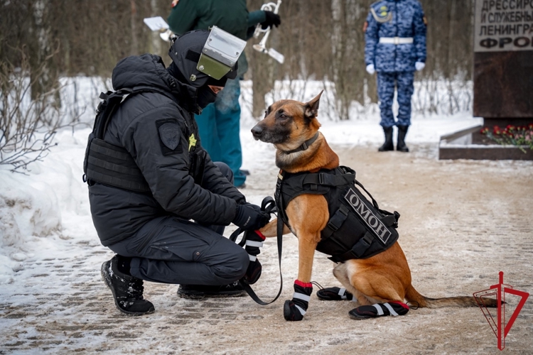 Кинологи Северо-Западного округа войск национальной гвардии РФ почтили память военных кинологов Ленинградского фронта