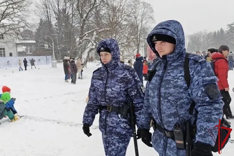 На Елагином острове росгвардейцы нашли девочку, потерявшуюся на праздновании Масленицы